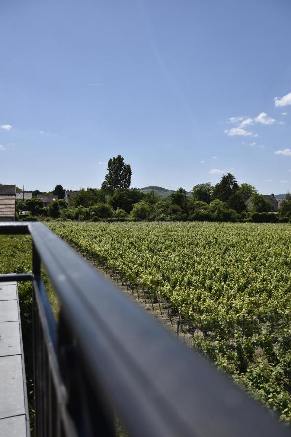 Manoir Henri Giraud&Spa Ay-Champagne Extérieur photo